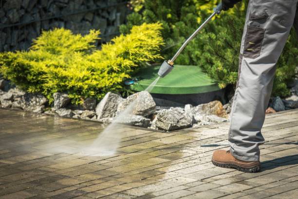 Best Roof Washing  in Cotati, CA